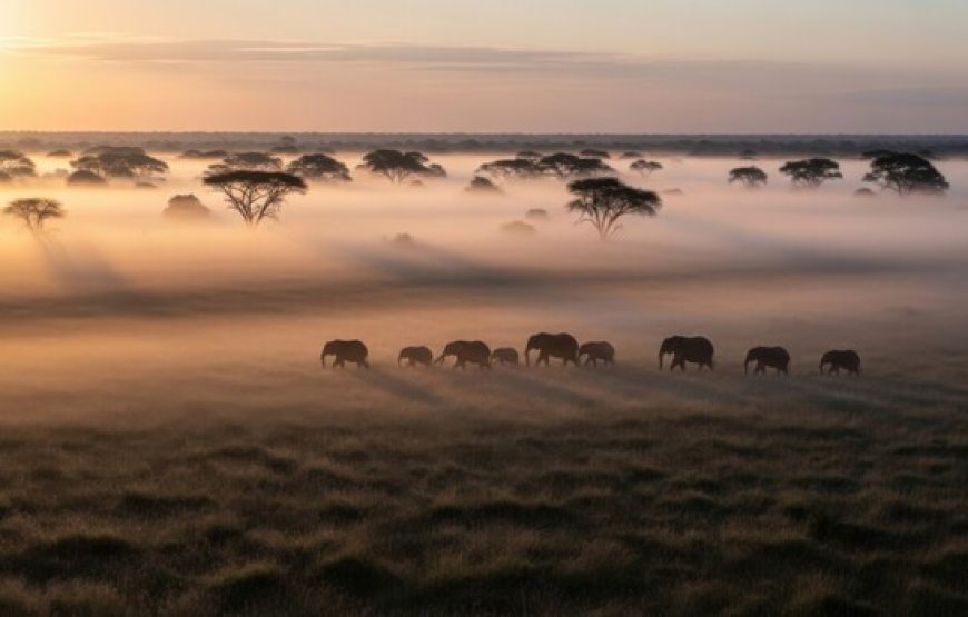 6 Days 5 Nights Lake Manyara, Ngorongoro, Serengeti & Tarangire National Park