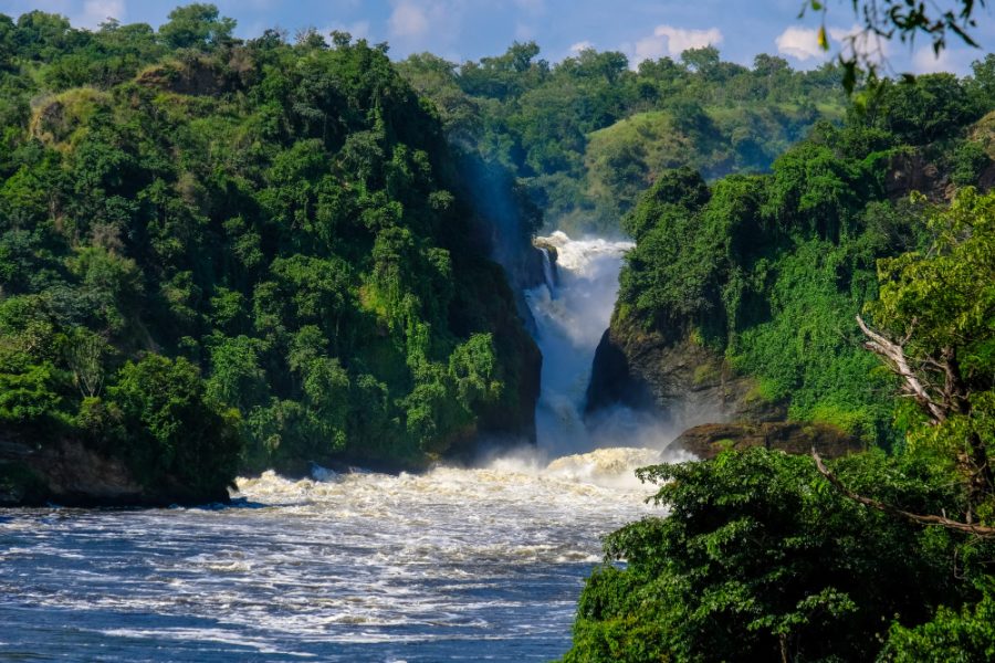 5 Days Queen Elizabeth Safari & Bwindi Gorilla Trekking
