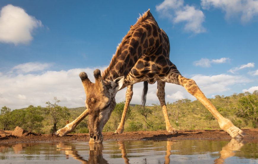 3 Days 2 Night’s Lake Manyara & Ngorongoro Tour