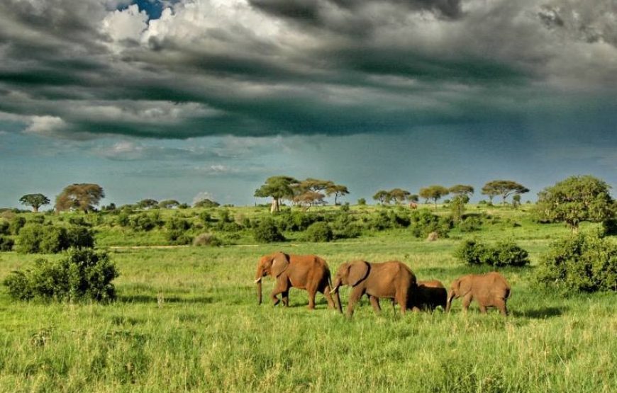 4 Days Lake Manyara, Serengeti And Ngorongoro Crater