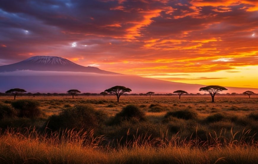 3 Days 2 Nights Tarangire, Lake Manyara & Ngorongoro