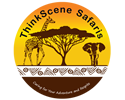 https://thinkscenesafaris.hostmasters.co.ke/