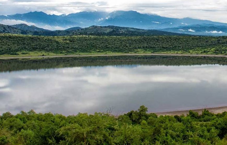 6 Days Kibale, Queen Elizabeth & Bwindi Safari